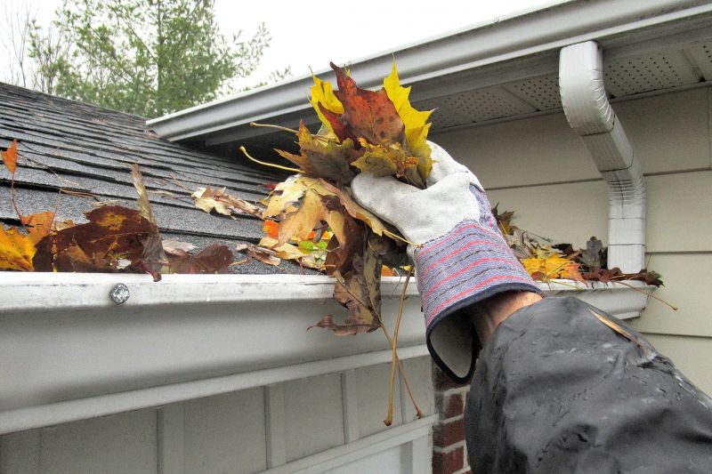 Clogged Gutter Clearing in Annapolis, MD