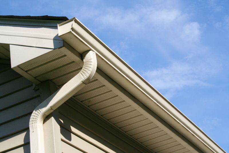 Eavestrough Clearing in Fredericksburg, VA