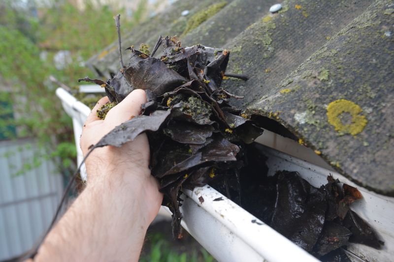 Gutter Blockage Removal in Boulder, CO