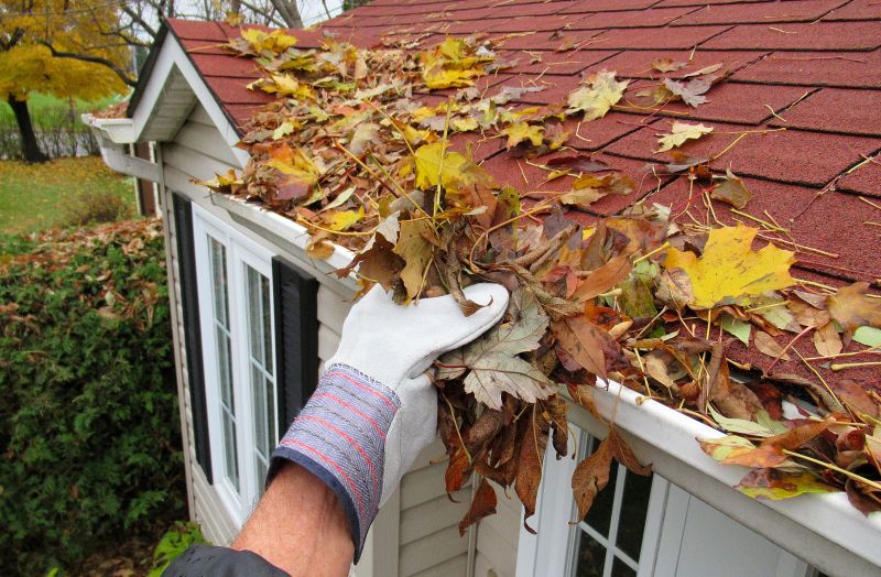 Gutter Pine Needle Removal in Pittsburgh, PA