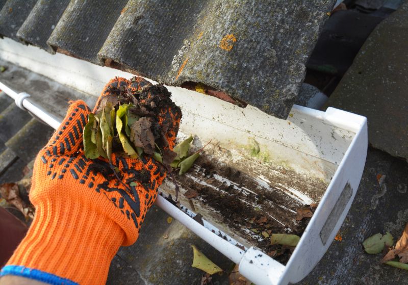 Rain Gutter Clearing in Boulder, CO